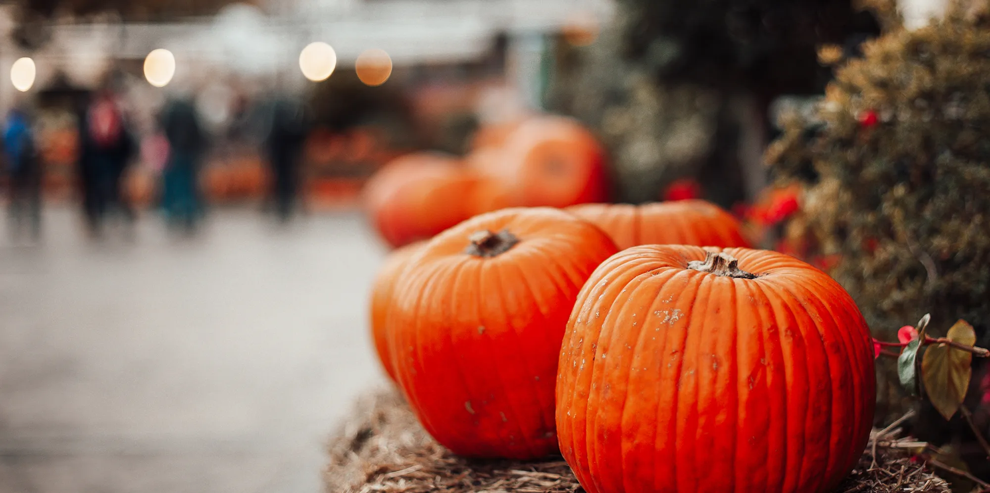 Fall Festival